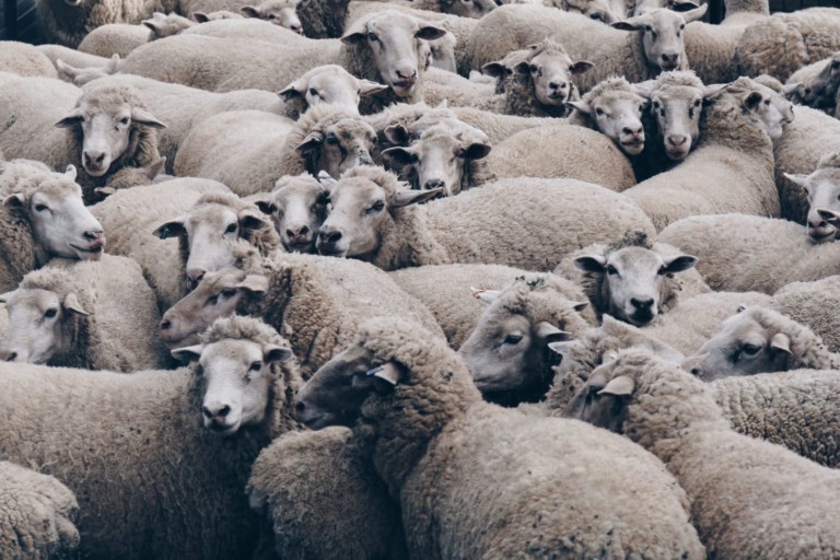 Photo by Christopher Burns