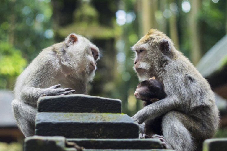 Photo by Mihai Surdu