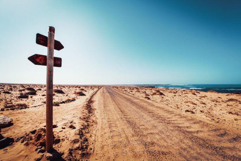 brown wooden post on brown sand near sea during daytime